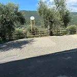 Nini Dachi Farm
