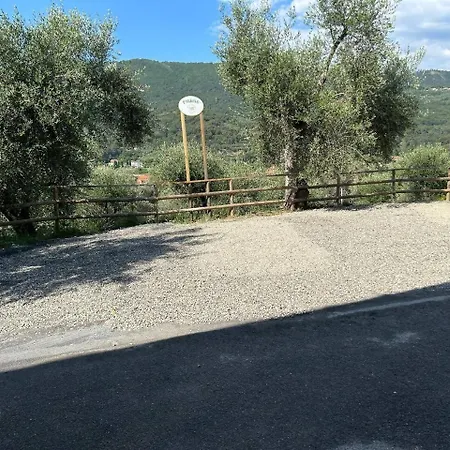 Nini Dachi Farm