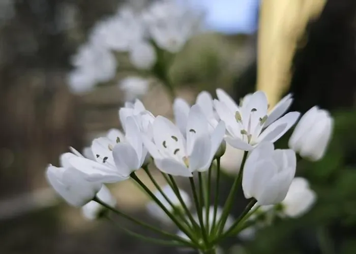 Nini Dachi Farm Apartamento Marina dʼAndora