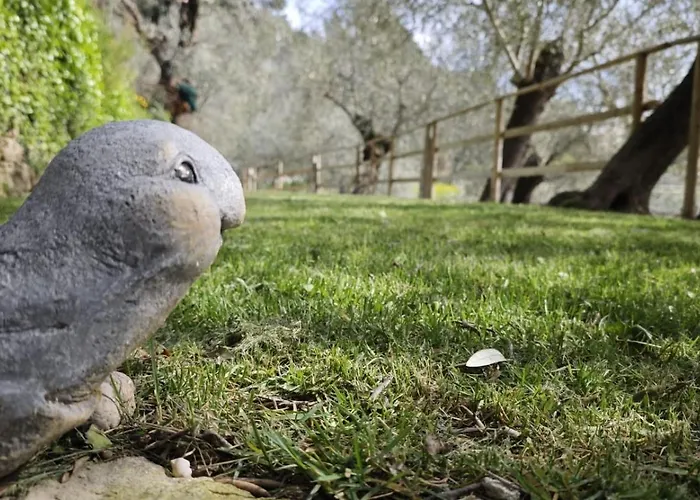 Apartamento Nini Dachi Farm *