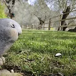アパート Nini Dachi Farm *