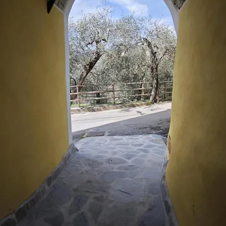 Nini Dachi Farm