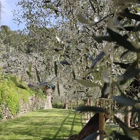 Nini Dachi Farm Daire