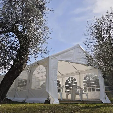 Nini Dachi Farm