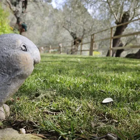 Daire Nini Dachi Farm *