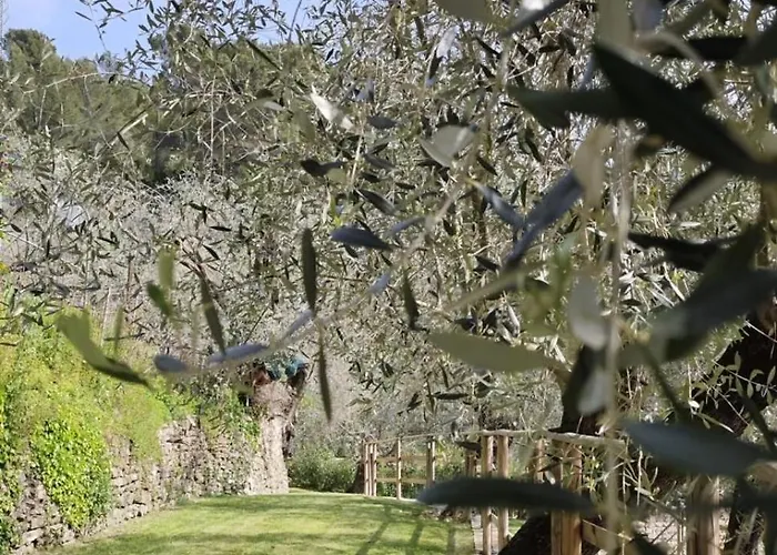 Nini Dachi Farm 公寓